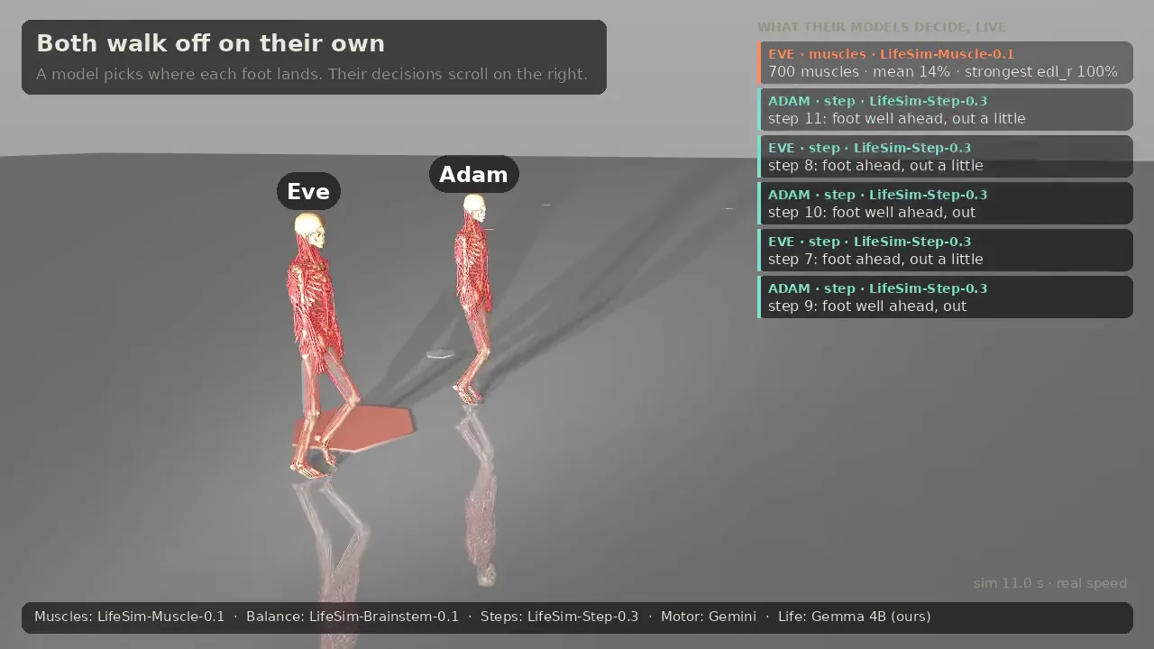 Adam and Eve walking on their own, with the decisions of the step model listed on the right